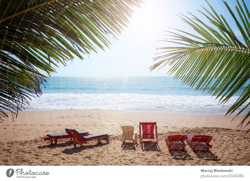 Leere Sonnenbänke an einem tropischen Strand. exotisch Erholung Ferien & Urlaub & Reisen Tourismus Ausflug Sommer Sommerurlaub Sonnenbad Meer Insel Natur