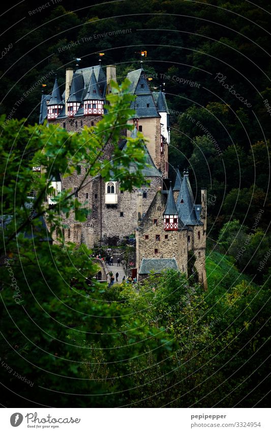 Burg Eltz Ferien & Urlaub & Reisen Tourismus Ausflug Abenteuer Ferne Natur Baum Wald Hügel Felsen Burg oder Schloss Bauwerk Mauer Wand Fassade Balkon Kamin