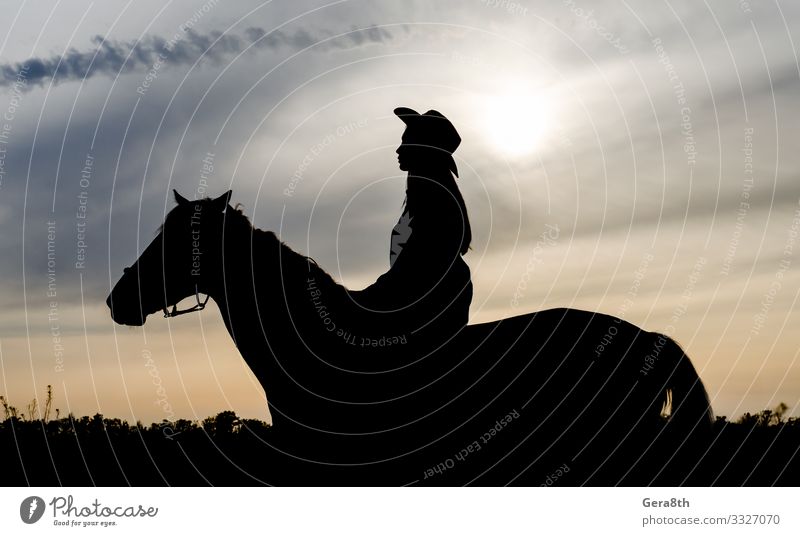 Silhouette eines jungen Mädchens mit Hut auf einem Pferd Stil Ausflug Sommer Mensch Frau Erwachsene Natur Landschaft Tier Himmel Wolken Dorf sitzen schwarz