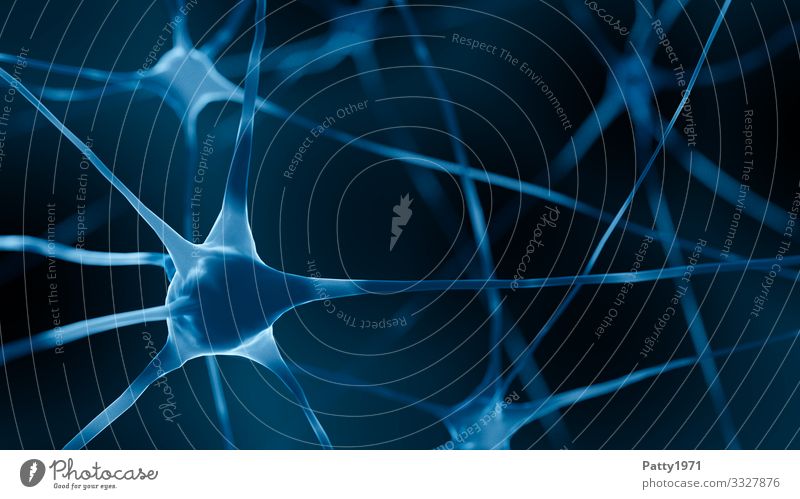 Nervenzellen (3D Render) Gesundheitswesen Neurologie Wissenschaften Gehirn u. Nerven Kommunizieren komplex Netzwerk dreidimensional Grafik u. Illustration