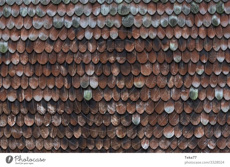 #Holzschindeln Haus Zeichen ästhetisch Schindeldach Dachziegel Strukturen & Formen Geschichtsbuch Farbfoto Außenaufnahme