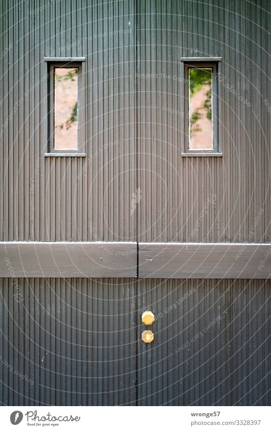 Symmetrie | nicht ganz perfekt Thementag Tür Türflügel Eingangstür Gedeckte Farben Türfenster Pareidolie Außenaufnahme Menschenleer Farbfoto Tag Haus