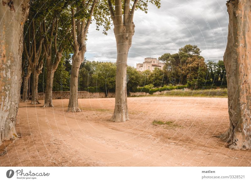 alte Villa Allee Alleebäume Sand Wolkenhimmel Wege & Pfade braun grün grau Katalonien