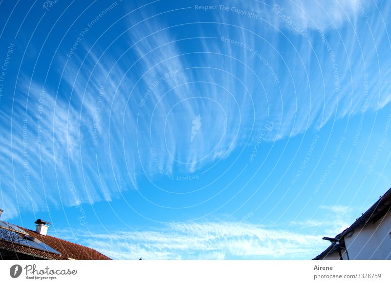 Es liegt was in der Luft Tag Außenaufnahme Farbfoto oben heiter Flaum federartig Meteorologie Wetterdienst Bedeutung vorhersagen Muster Zeile Streifen Sonne