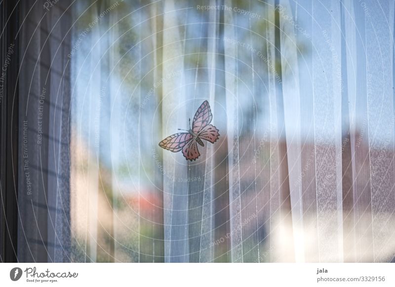 butterfly Wohnung Himmel Fenster Vorhang Schmetterling geheimnisvoll Sicherheit Etikett Farbfoto Außenaufnahme Menschenleer Tag Licht Schatten