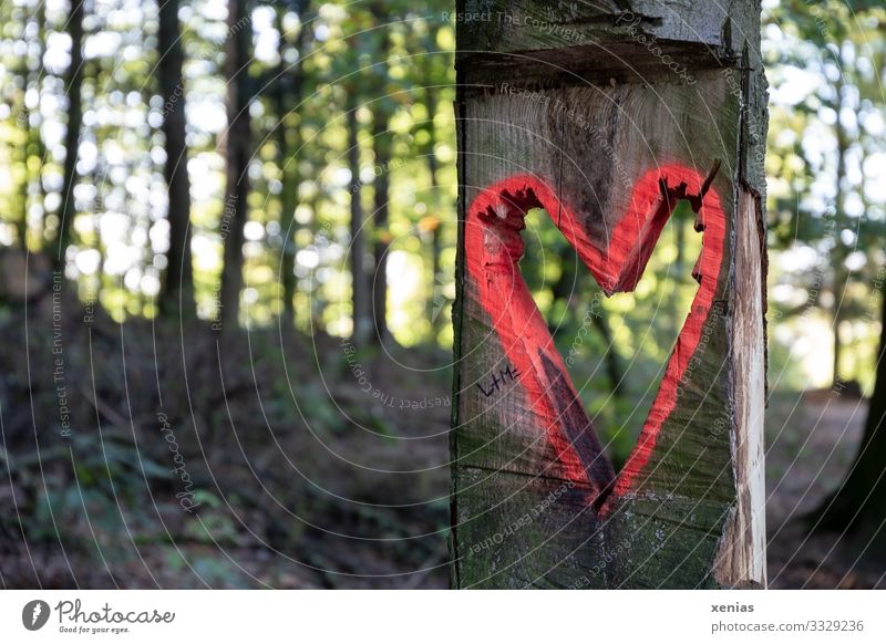 Herz im Wald Umwelt Natur Landschaft Baum Holz Zeichen braun grün rot ausgesägt xenias Farbfoto Außenaufnahme Detailaufnahme Menschenleer Textfreiraum unten