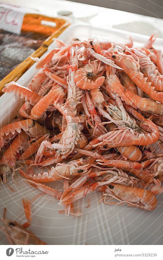 scampis Lebensmittel Meeresfrüchte Krustentier Garnelen kaufen Tier frisch Gesundheit lecker Markt Marktstand Fischmarkt Protein Gesunde Ernährung Farbfoto