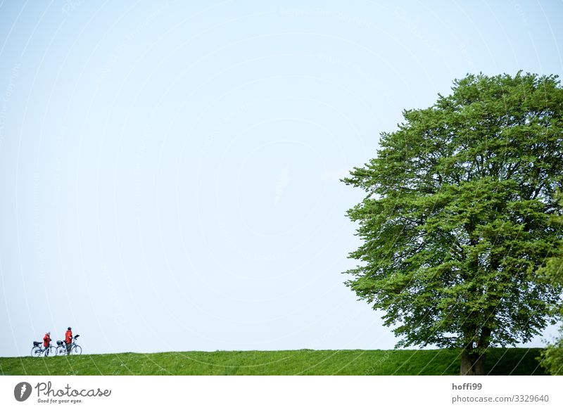 am Deich mit Baum Ausflug Fahrradtour Fahrradfahren Mensch 2 30-45 Jahre Erwachsene Wolkenloser Himmel Schönes Wetter Gras Nordsee beobachten Bewegung sprechen