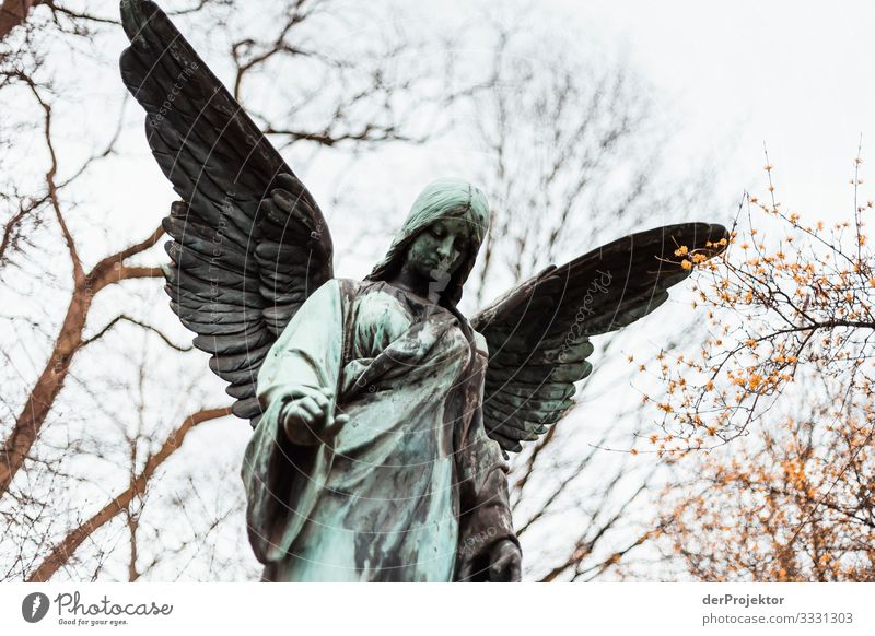 Engel auf Friedhof Blick nach vorn Vorderansicht Ganzkörperaufnahme Oberkörper Porträt Starke Tiefenschärfe Kontrast Schatten Licht Tag Hintergrund neutral