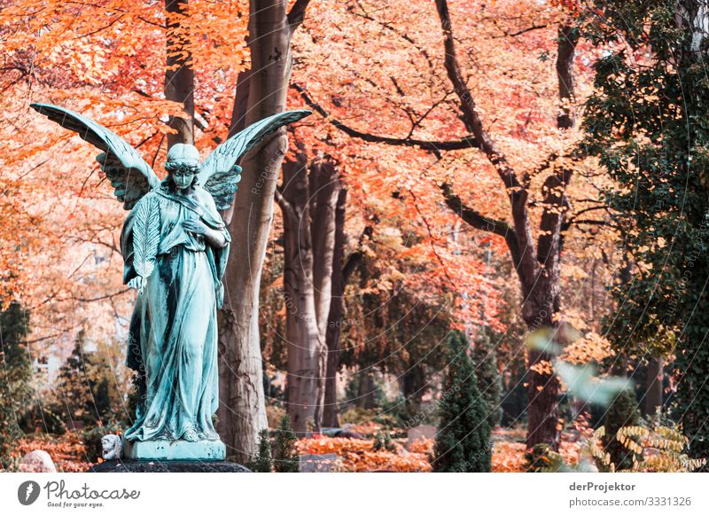 Engel auf Künstlerfriedhof in Friedenau Blick nach vorn Vorderansicht Ganzkörperaufnahme Oberkörper Porträt Starke Tiefenschärfe Kontrast Schatten Licht Tag
