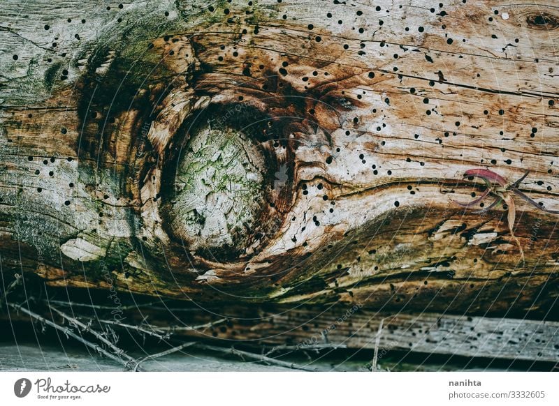 Alte und Grunge-Holztextur Tapete Natur Baum Rost alt verblüht authentisch Coolness retro Farbe Konsistenz Oberfläche gebrochen altehrwürdig Filter Insolvenz