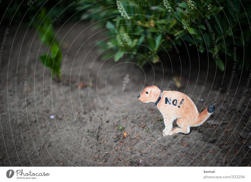 Helgiland | No! Natur Erde Grünpflanze Garten Zeichen Schilder & Markierungen Hinweisschild Warnschild Hund sitzen Verbote Sauberkeit defäkieren