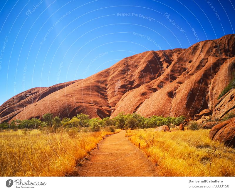 Weg zum Uluru mit blauem Himmel Australien Ayers Rock uluru Outback Ferien & Urlaub & Reisen Tourismus unesco uluru nationalpark Felsen heilig Natur Monolith