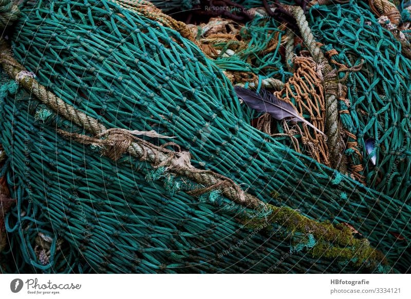 Netz fangen grün Fischernetz Feder Fischereiwirtschaft Farbfoto Außenaufnahme abstrakt Muster Strukturen & Formen