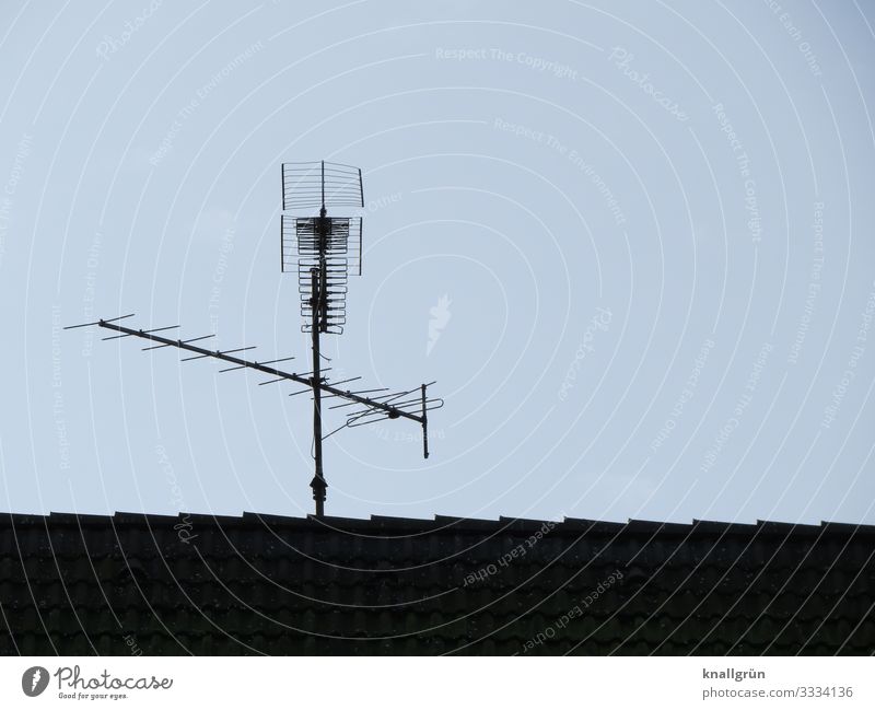 Hausantenne Dach Antenne Kommunizieren historisch oben Stadt grau schwarz Fernsehantenne Farbfoto Außenaufnahme Menschenleer Textfreiraum rechts