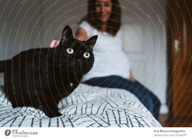 junge schwangere Frau zu Hause. schöne schwarze Katze neben Jugendliche Schwangerschaft heimwärts Mutterschaft Leben bauchfrei Erholung Mitte heiter massierend
