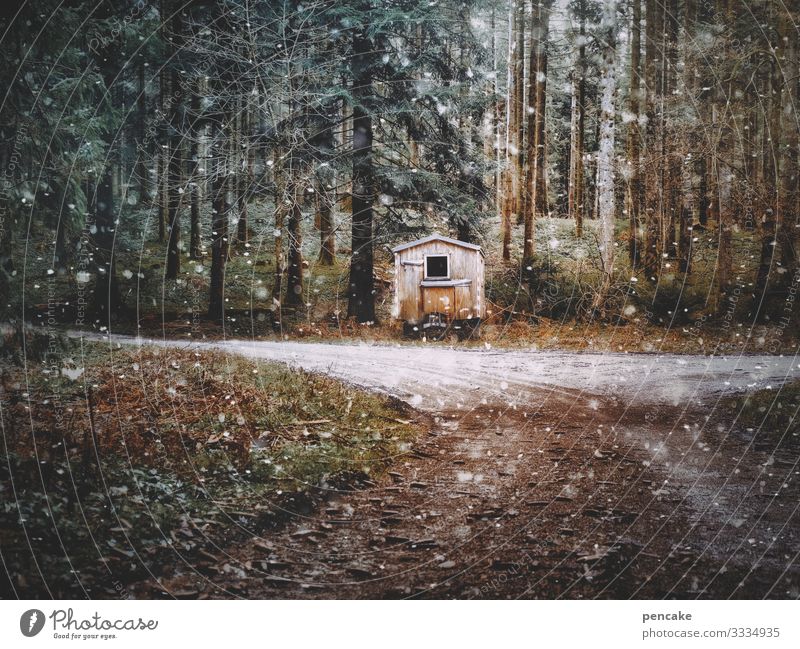 eiszeit | der beginn einer langen freundschaft Natur Landschaft Urelemente Winter Eis Frost Schnee Baum Wald Hütte authentisch schön Partnerschaft Kindheit