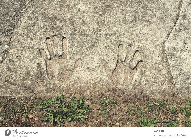 verewigter Abdruck von zwei Händen im Beton Sommer Schönes Wetter Pflanze Wildpflanze Löwenzahn Nordsee Helgoland Freude Hand Betonplatte lustig Souvenir
