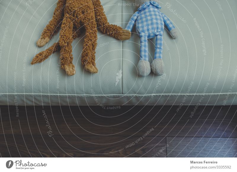 verschiedenfarbige Teddys, die auf dem Sofa die Hände schütteln Lifestyle Freude Haut Wohnung Wohnzimmer Freundschaft Hand Wärme Spielzeug Teddybär Stofftiere