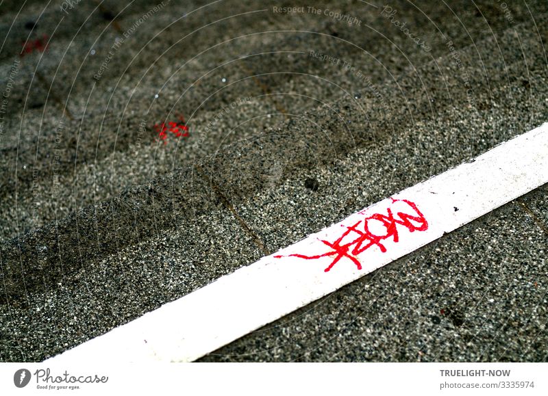 Mit Blut? | Geschriebenes Jugendkultur Punk Graffiti Stadtzentrum Menschenleer Bahnhof Treppe Verkehrswege Öffentlicher Personennahverkehr Bahnfahren Fußgänger