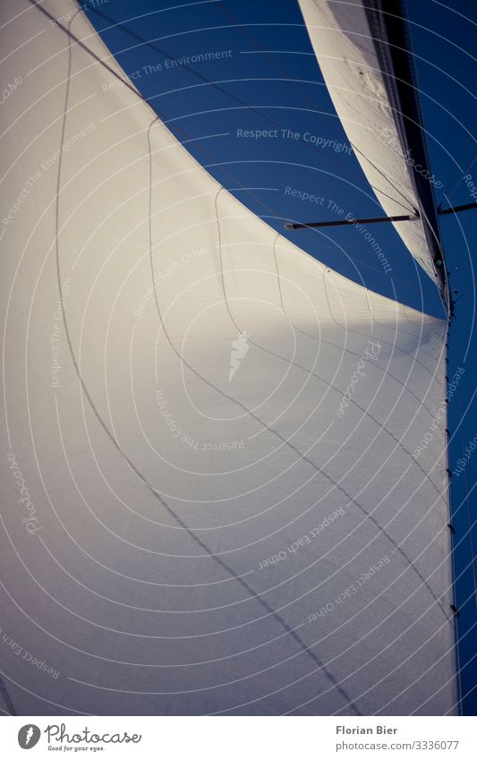 Hart am Wind Reichtum Himmel Klimawandel Segelboot Mast fahren träumen ästhetisch Ferne groß hell hoch maritim Sauberkeit blau weiß Begeisterung Mut