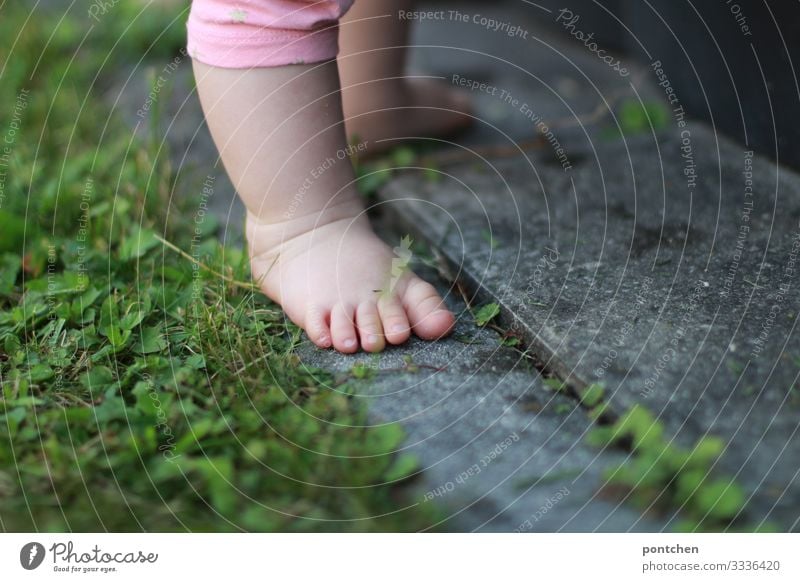 Babyfüße auf Pflastersteinen und Gras Kind Kleinkind Mädchen Junge Fuß 1 Mensch 0-12 Monate 1-3 Jahre gehen stehen Terrasse Wiese Natur Neugier Stolz lernen