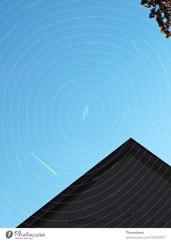 Flug übers Dach (Multi-Mix) Schönes Wetter Baum Haus Industrieanlage Linie blau grün schwarz Kondensstreifen Farbfoto Außenaufnahme Menschenleer Tag