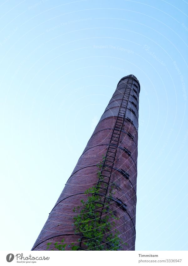 Ein Turm (Multi-Mix) Industrieanlage Stein Metall alt verrückt blau grün violett Gefühle Leiter hoch Farbfoto Außenaufnahme Tag Froschperspektive
