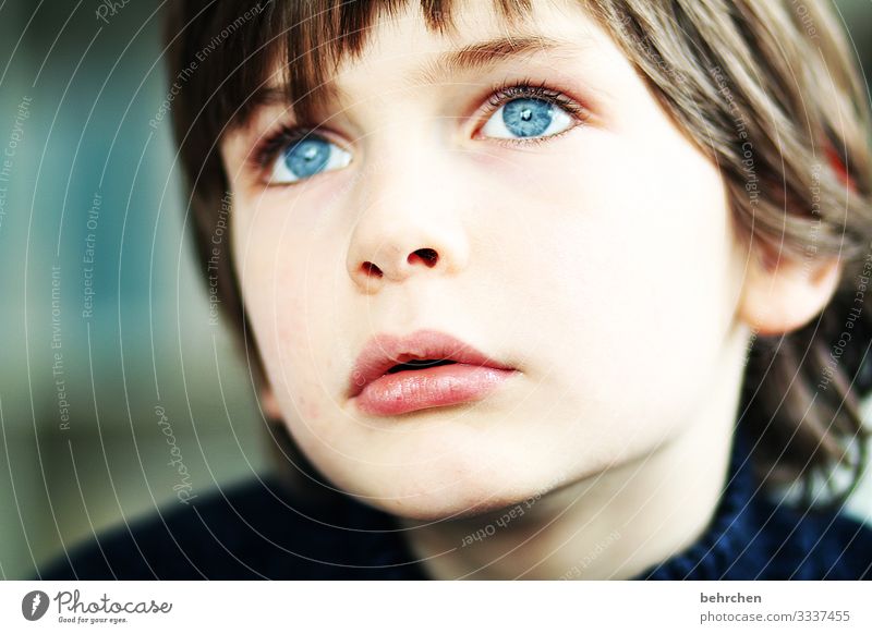 in träumen versinken Kind Junge Familie & Verwandtschaft Kindheit Haut Kopf Haare & Frisuren Gesicht Auge Nase Mund Lippen 3-8 Jahre schön blau Warmherzigkeit