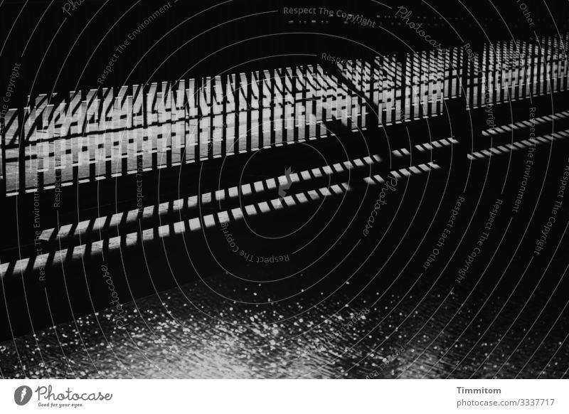 Über die Brücke Wasser Fluss Neckar Verkehr Metall Linie ästhetisch dunkel grau schwarz weiß Geländer Schatten Schwarzweißfoto Außenaufnahme Menschenleer Tag