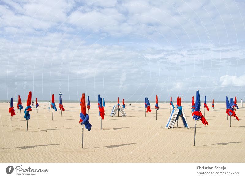 Red and Blue Erholung Ferien & Urlaub & Reisen Tourismus Sommer Sommerurlaub Sonne Sonnenbad Strand Meer Sonnenschirm Schönes Wetter Küste Normandie Deauville