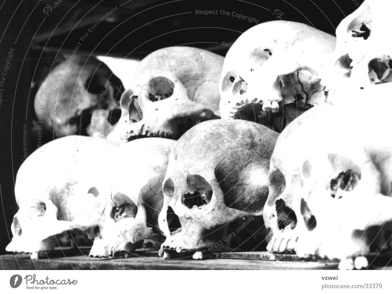 Mahnmal der Unmenschlichkeit Biest Massenmord Denkmal unmenschlich Terror historisch Schädel killing fields Mord Schwarzweißfoto Tod Kambodscha