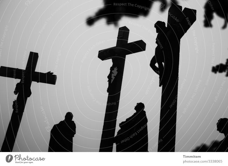 Kreuzigungsgruppe im Winter Karfreitag Religion & Glaube Tod Schwarzweißfoto Trauer Hoffnung Christentum Ostern düster Pflanzenteile Nebel