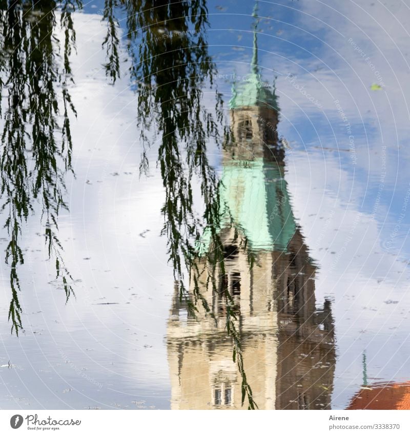 Trauerweide und Turmspitze - alles steht Kopf Spiegelung Spiegelung im Wasser See Teich Weidenzweige klassizistischer stil Klassizismus Rathausturm Himmel
