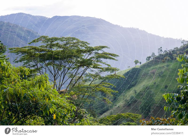 Kolumbianische Berglandschaft. Das Kaffeeanbaugebiet. Antioquia. ruhig Ferien & Urlaub & Reisen Tourismus Freiheit Sightseeing Sommer Sommerurlaub