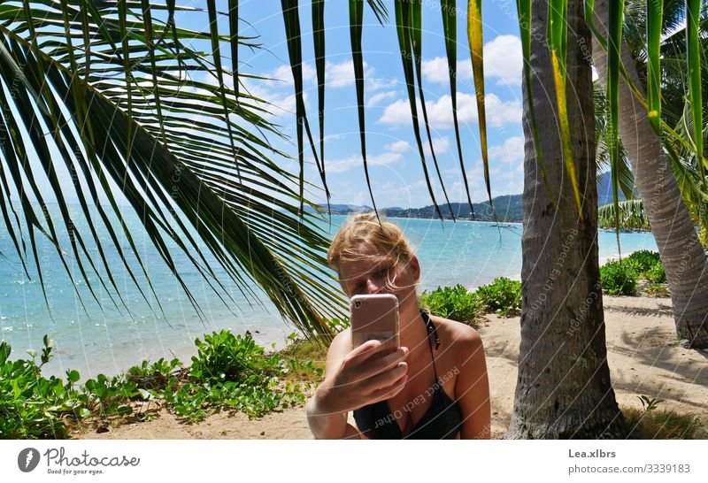 Selfie Time Handy Fotokamera Internet feminin Junge Frau Jugendliche 1 Mensch 18-30 Jahre Erwachsene Neue Medien Smartphone Landschaft Sonne Sommer Palme Strand