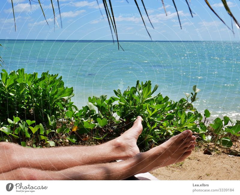 Es sind nur die Füße eines Mannes beim Sonnenbad am Strand zu sehen maskulin Junger Mann Jugendliche Beine Fuß 1 Mensch 18-30 Jahre Erwachsene Natur Wasser