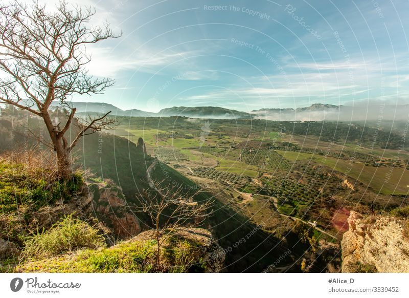 Ronda Tal Landschaft Ferien & Urlaub & Reisen wandern Umwelt Natur Pflanze Nebel Baum Wiese Feld Hügel Felsen Berge u. Gebirge Schlucht Spanien Europa