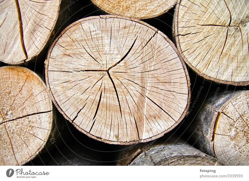 Brennholz Winter Wärme Wald Holz nachhaltig rund Biomasse Brennmaterial Brennstoff Buche Energie Heizung Hintergrundbild Holzstapel Jahresringe Ofenholz