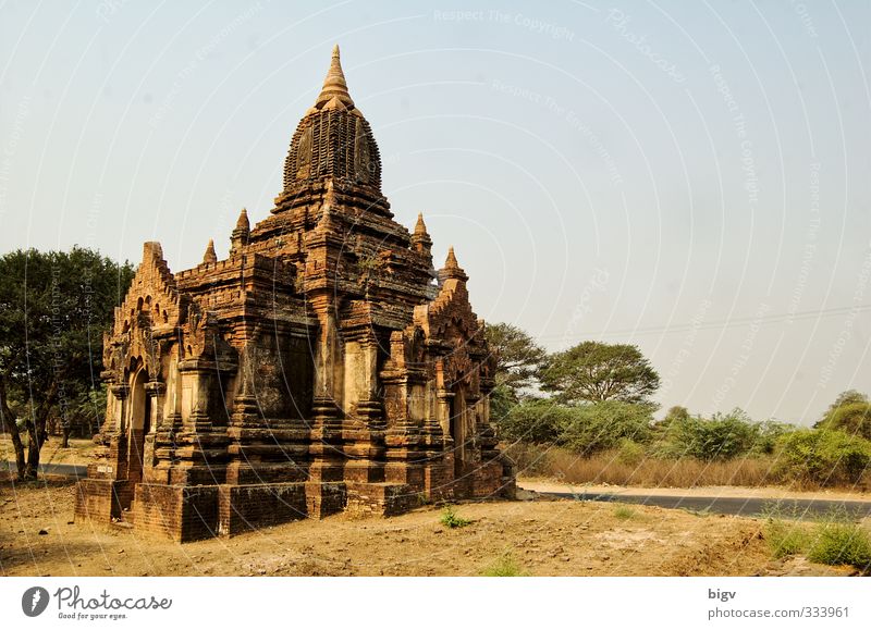 Bagan Ruine gelb gold Tempel Myanmar Farbfoto Außenaufnahme Menschenleer Textfreiraum rechts Tag Sonnenlicht