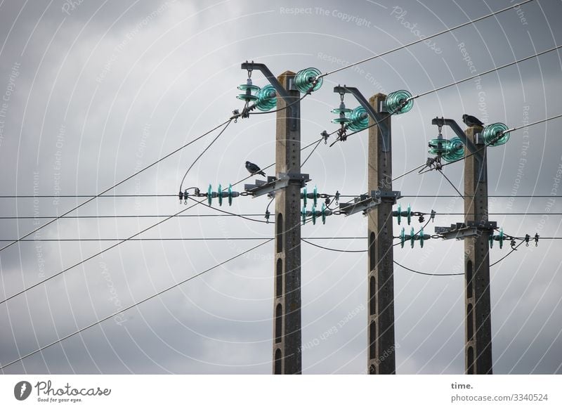 Seilschaften #32 Technik & Technologie Energiewirtschaft Strommast Hochspannungsleitung Elektrizität Kabel Isolatoren Himmel Wolken Gewitterwolken Vogel Taube 1