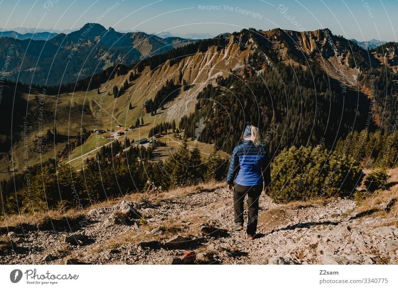 Wandern auf dem Brecherspitz | Bayern brecherspitze wandern bayern gebirge alpen gipfel wald panorama gehen sportlich gebüsch warm herbst grün braun frau