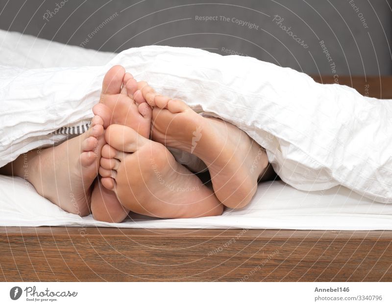 die Füße eines Paares unter der weißen Bettdecke im Bett dicht zusammenrücken, Körper Erholung Freizeit & Hobby Schlafzimmer Mensch Frau Erwachsene