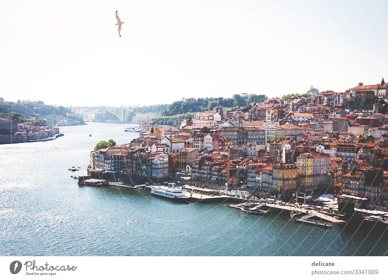 Porto Städtereise Städtebau Stadt Stadtzentrum Stadtteil Stadthaus Hafen Hafenstadt Portugal Douro Altstadt bunt Häuser Gebäude Architektur Möwe Freiheit