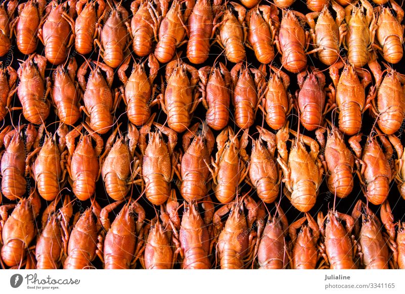 Viele Krebse Tier rot Tradition Flußkrebs Amphibie viele kochen & garen geschmackvoll Mahlzeit Lebensmittel Russisch Fisch Hintergrund Konsistenz Farbfoto