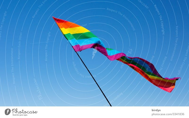 Regenbogenfahne im Wind vor blauem Himmel Regenbogenflagge LGBTQ queer regenbogenfarben Fahne leuchten Wolkenloser Himmel Homosexualität frisch positiv pride