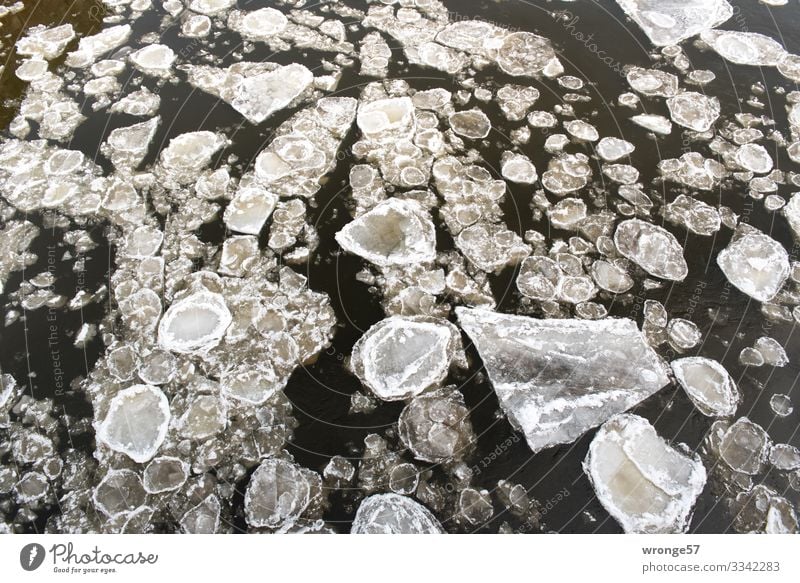 Eiszeit | Cornflakes Natur Wasser Winter Klimawandel Frost Fluss Elbe kalt braun weiß Eisscholle gefroren fließen Im Wasser treiben Farbfoto Gedeckte Farben