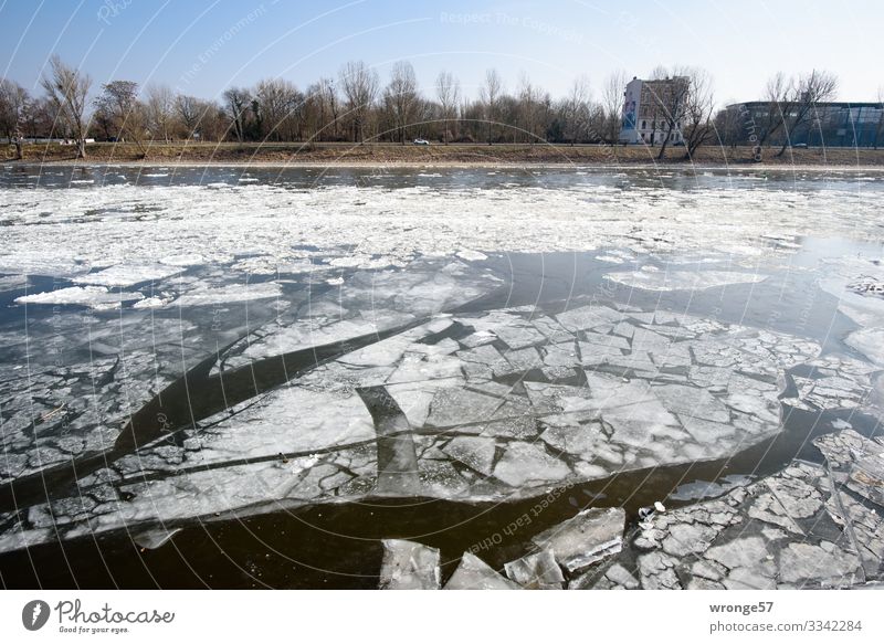 Eiszeit | nicht aktuell Umwelt Wasser Winter Schönes Wetter Frost Fluss Elbe blau schwarz weiß Eisscholle Flussufer Farbfoto Gedeckte Farben Außenaufnahme