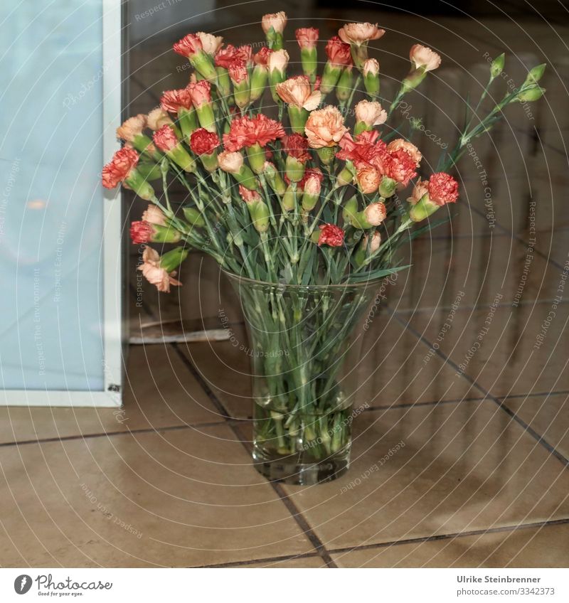 Rosa Nelkenstrauß in leerstehenden Schaufenster Häusliches Leben Dekoration & Verzierung Raum Feste & Feiern Valentinstag Geburtstag Frühling Pflanze Blume
