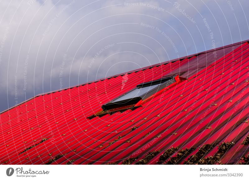 Ein rotes Dach vor grauem Himmel Wolkenloser Himmel Haus Fenster Dachrinne bauen leuchten fest Freundlichkeit Fröhlichkeit Optimismus Vertrauen Sicherheit